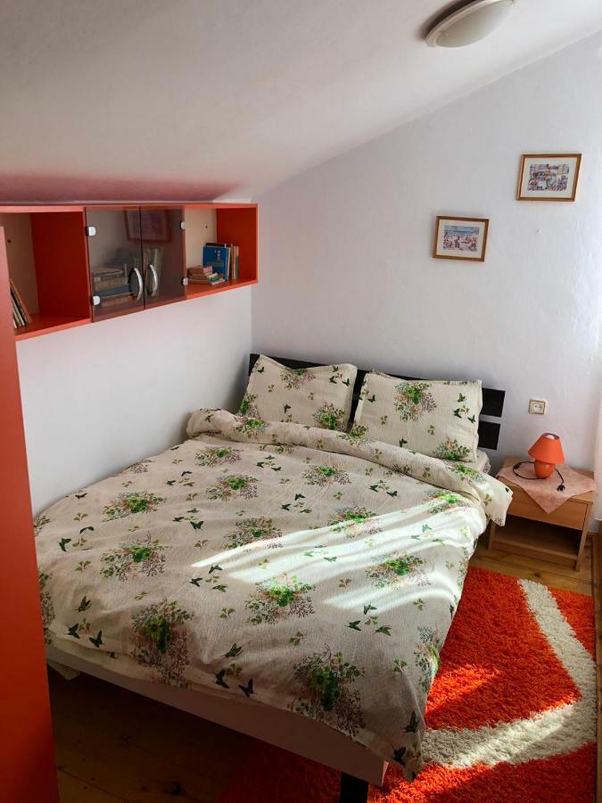 Casa Ani Villa Borsa  Kültér fotó
